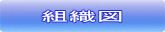 �g�D�}